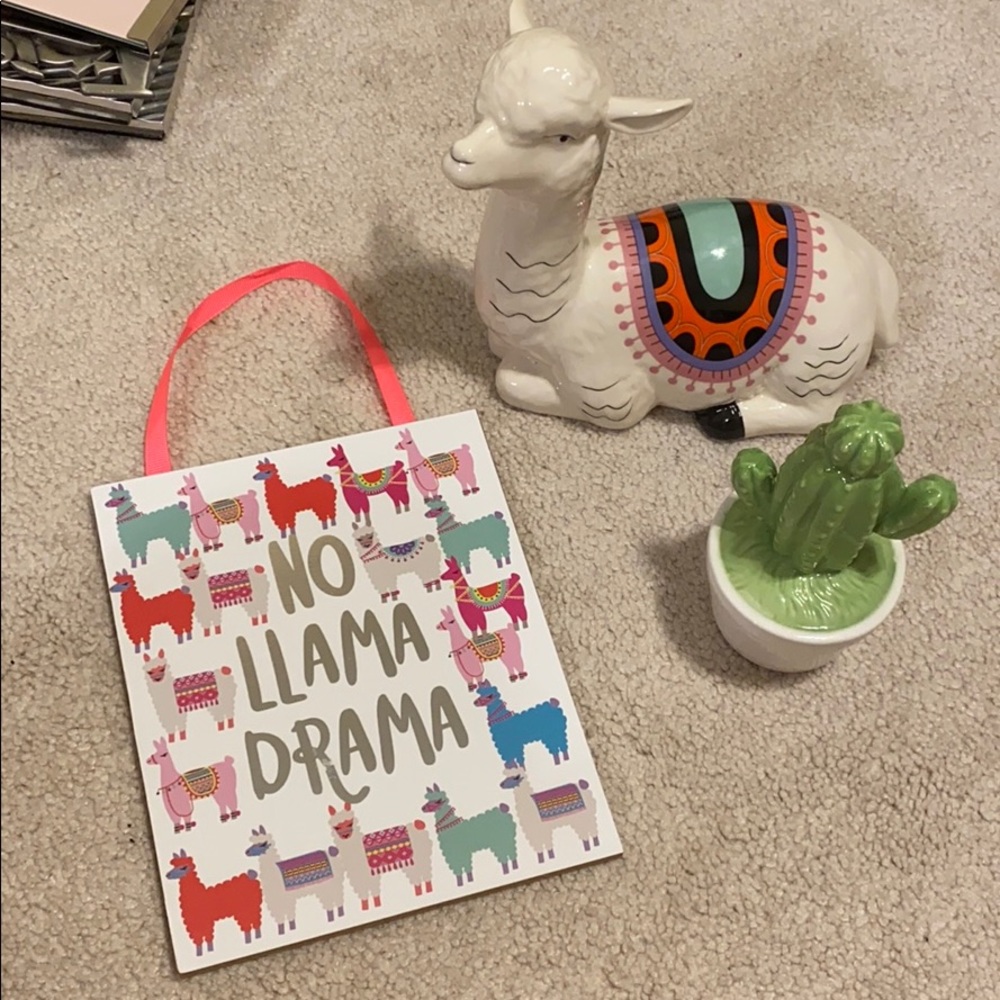 Llama and cactus home decor